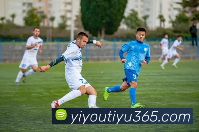 多媒体互动体验