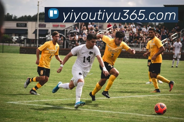 易游体育APP 高清赛事图